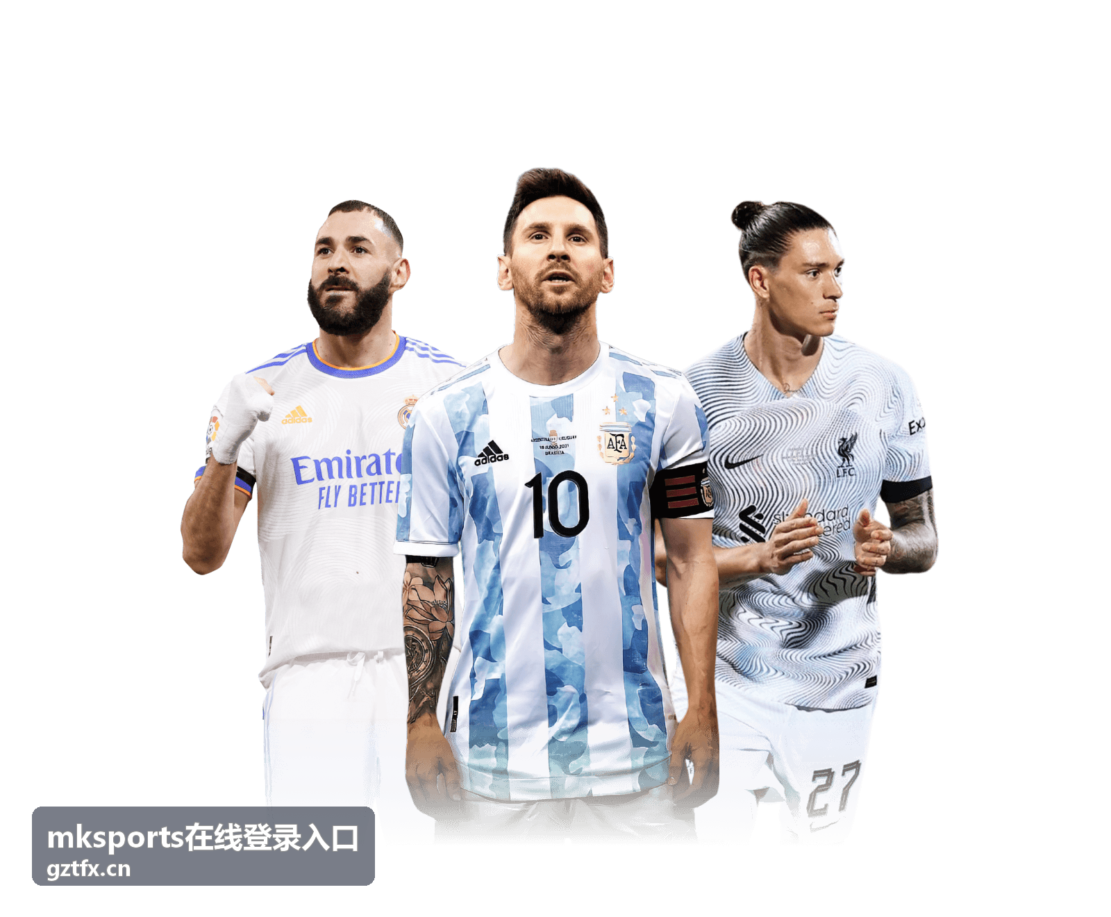 mksports在线登录入口登录步骤指引封面