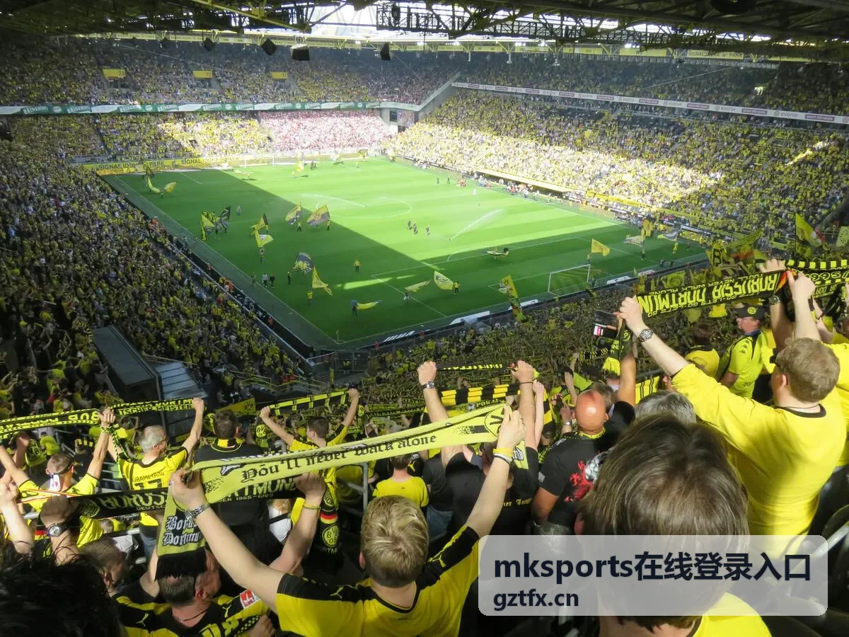 mksports在线登录入口账号验证步骤说明