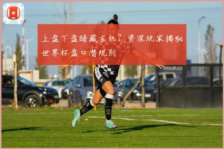 上盘下盘暗藏玄机?资深玩家揭秘世界杯盘口潜规则