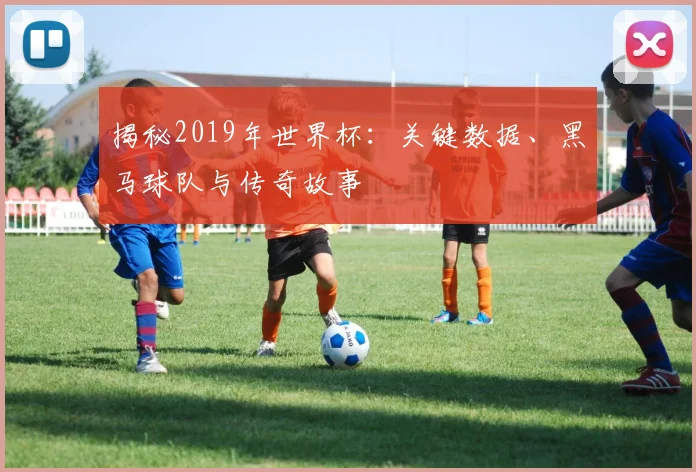 揭秘2019年世界杯：关键数据、黑马球队与传奇故事